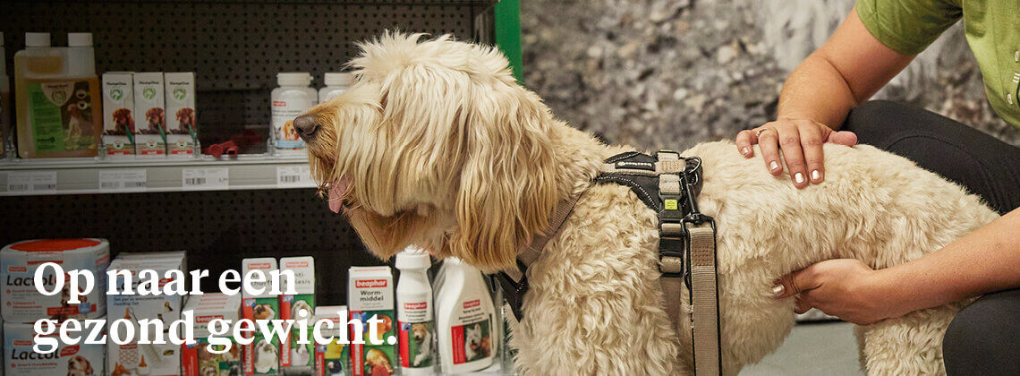 Gewichtsconsult voor je hond - € 12.95 Gewichtsconsult voor je hond - € 12.95